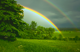 arcobaleno 3 lista